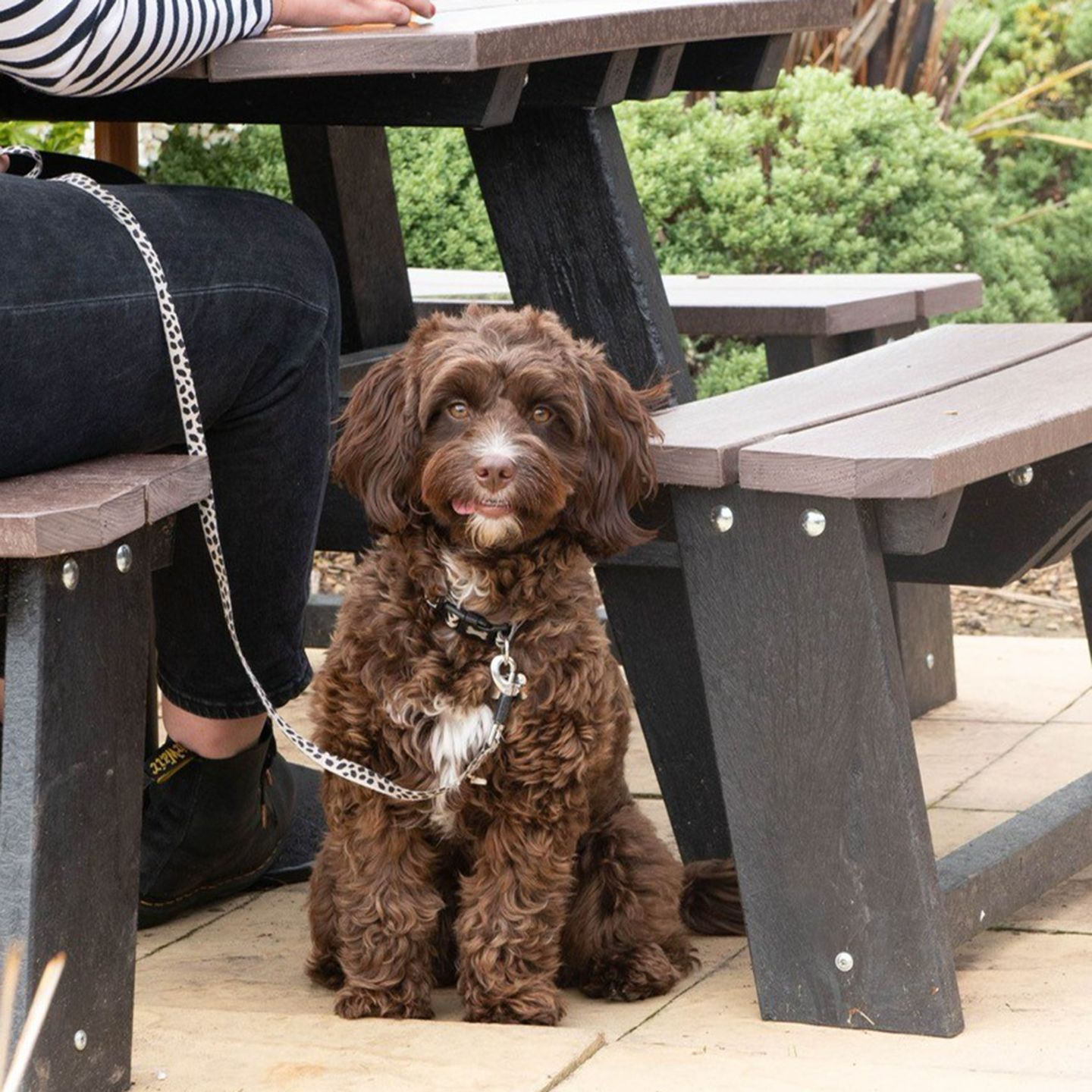 Your local dog friendly pub in Leicester